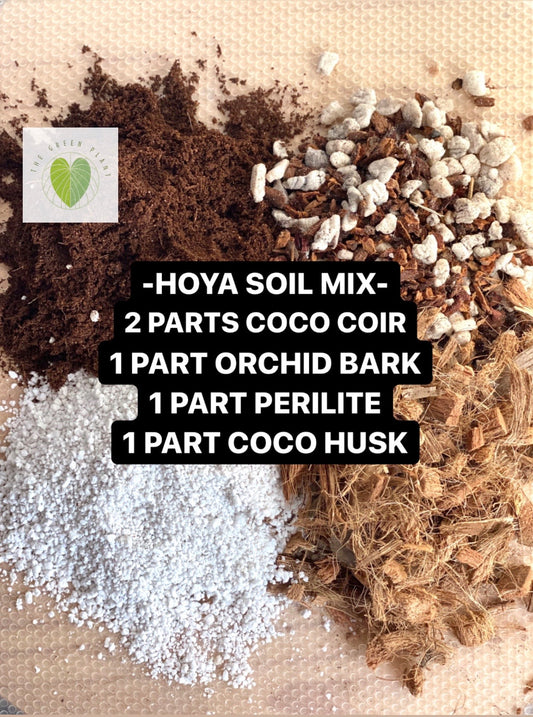 Hoya Soil Mix